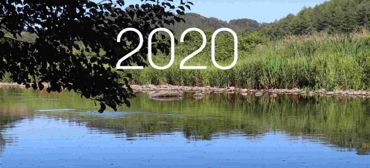 Rapport d'activités 2020