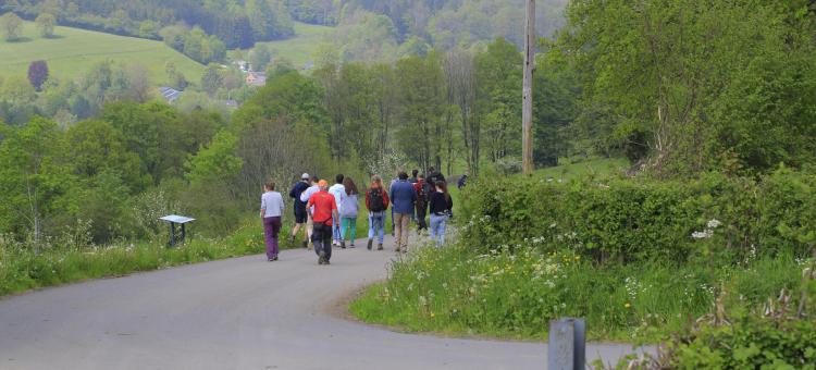 Promeneurs sur une route dans un paysage rural